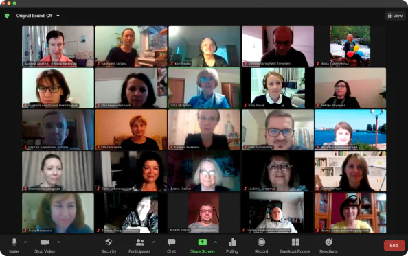 A screenshot of a zoom call.